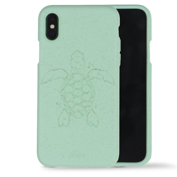 Limited Edition Turtle Cases