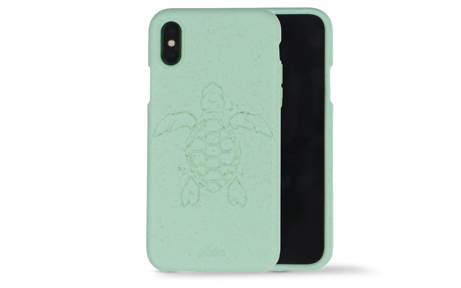 Limited Edition Turtle Cases