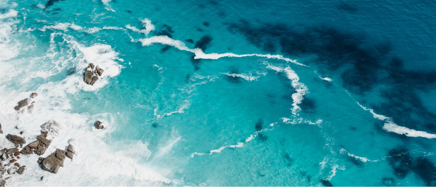 Save The Waves Pela Cases