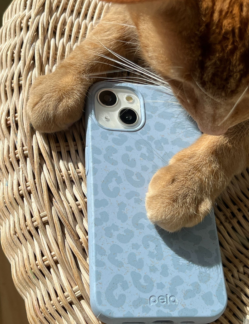 Powder Blue Sky Leopard iPhone 13 Mini Case