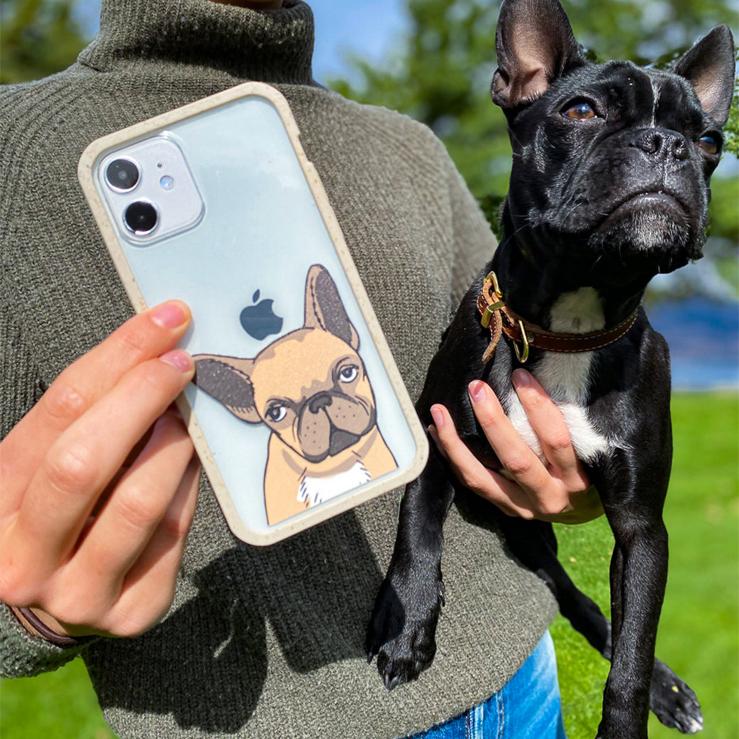 Clear Frenchie Portrait iPhone 11 Case With London Fog Ridge